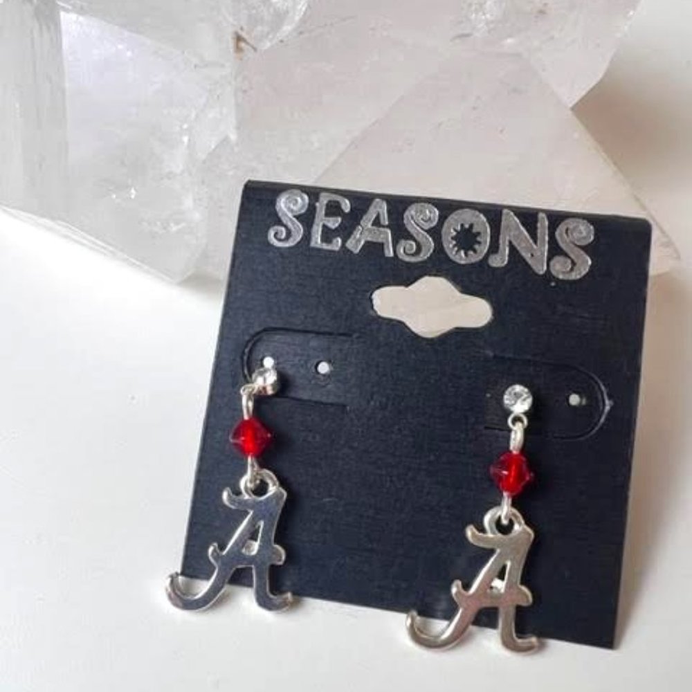 Silver and Red Earrings